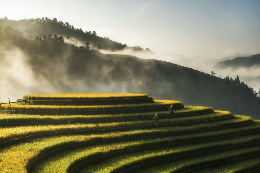 Rice terraces in Mu Cang Chai, Vietnam