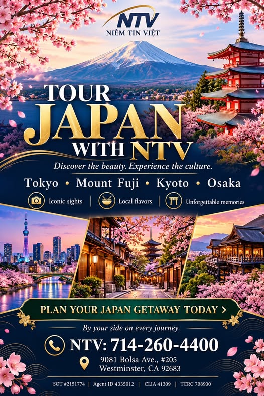 Tour Japan with NTV – Tokyo, Mount Fuji, Kyoto, Osaka